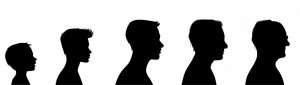 Alternsforschung