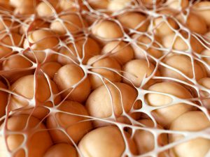 Fettzellen, Illustration: © Sebastian Kaulitzki, Fotolia.com