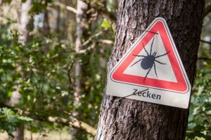 Zecken