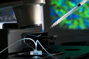 Mikrophysiologisches Organ-on-a-Chip-System. Foto: Fraunhofer IGB