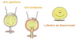 Blasenfunktion kindgerecht erklärt