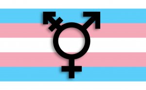 Transsexualität