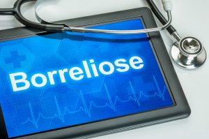 Borreliose