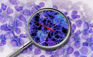 Wissenschafter in Wien haben wichtige Krebsgene mit Hilfe der innovativen SLAMseq Methode charakterisiert, die plötzliche Änderungen in der Gentranskription sichtbar macht. Foto: © IMP