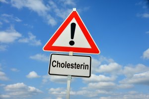 Cholesterin