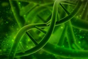 Illustration: © jijomathai, Fotolia.com