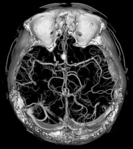 Foto: © MGG - Fotolia.com