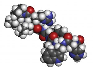 Leuprorelin, Kalottenmodell