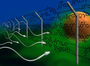 endokrine Disruptoren, Symbolbild