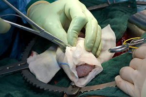 Foto: © horizont21, Fotolia.com