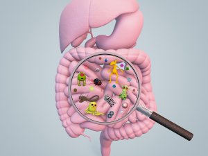 Darmmikrobiom