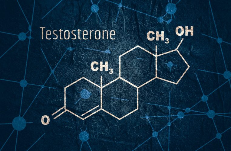 Testosteron aktiviert Risiko-Gene fr Autismus - Biermann Medizin