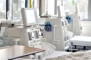 Foto: © Gerhard Seybert, Adobe Stock