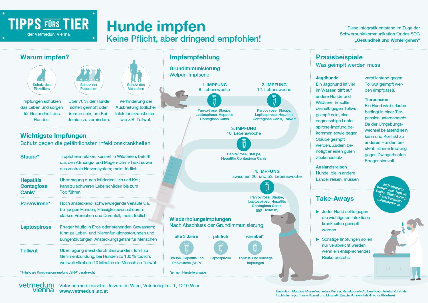 Hund Impfen Kosten Co Fressnapf