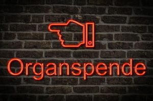 Foto: © Gehkah, stock.adobe.com