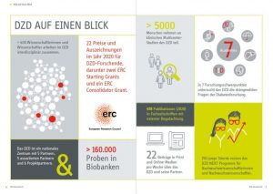 Das DZD auf einen Blick. Bild: DZD