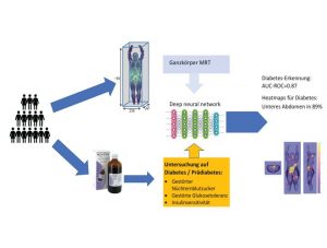 Diabetes-Erkennung aus Ganzkörper-Magnetresonanztomografie mit Deep-Learning. Illustration: IDM