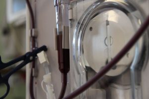 Foto: © Kue Lee, Pexels