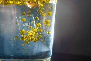 Organ-on-Chip-System: Der neue Adipositas-on-Chip der Arbeitsgruppe um Prof. Dr. Peter Loskill vom NMI in Reutlingen bildet das weiße Fettgewebe im Mikrometermaßstab ab und integriert erstmals verschiedene Zellkomponenten in einem Chip-System. Bild: NMI