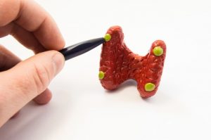 Foto: © shidlovski, stock.adobe.com