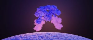 Der SEA-Komplex besteht aus einem käfigartigen Kern (SEACAT, blau), der die Aktivität der Flügel (SEACIT, weiß und hell) reguliert. Bild: © Ciencia Graficada