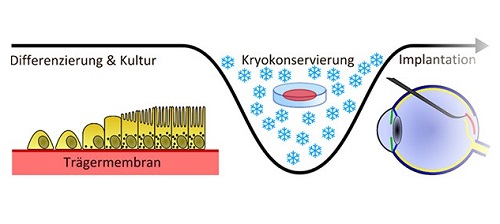 pfennigpfeiffer blumenkasten SkyGarden