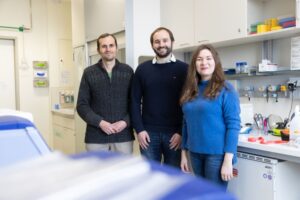 PD Gerhard Schmalz (Mi.) und seine Kolleg:innen Dr. Jonathan de Fallois (li.) und Dr. Deborah Kreher (re.) setzen u.a. auf eine nicht-invasive Methode zur Kariesdiagnostik: Mittels spezieller Fototechnik stellen sie Vorhandensein und Ausmaß von Karies fest Foto: Stefan Straube / UKL