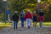 Arthrose: Bewegung hilft bei starken Schmerzen am meisten