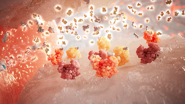 40116_O_ICL_Paid_Media_K2_2024-Iclepertin_statisch_600px_240820_EE