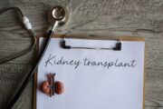 Nierentransplantation: Neue Studie deckt Ungerechtigkeiten bei der Organverteilung auf