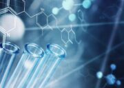 Vom Molekül bis zur Krankheit: PIPs-Projekt der Leibniz-Kooperative Exzellenz gestartet