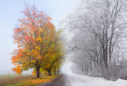 Herbst- und Winterkinder haben häufiger Allergien