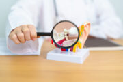 Ohrenkrankheiten besser diagnostizieren
