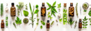 Phytotherapie wirkt kaum bei Rheuma
