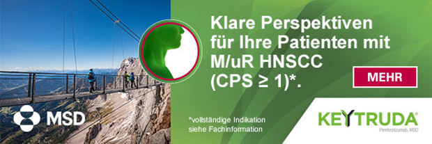 Foto: Klare Perspektiven