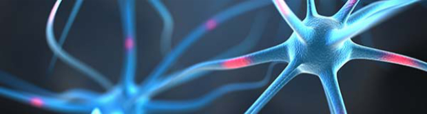 Header Ofatumumab