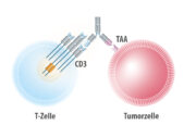Neue Ergebnisse aus DeLLphi zu Tarlatamab: Zielgerichtete Immuntherapie des kleinzelligen Bronchialkarzinoms