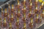 Bioreaktor für Augenhornhäute: Mit klarem Sehen zu mehr Lebensqualität