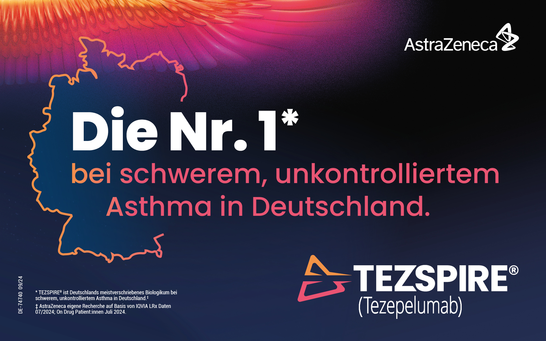 12172454_ASZ_DE_RESP_TEZ_Onlinekampagne_Marktführer_DE-71705_09-24_Vidal_600x375_04_ml