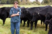 Abgabemengen von Antibiotika in Tiermedizin sinken weiter