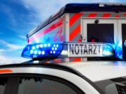 Ein interprofessioneller Blick auf den Notarztdienst