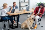 Ein Hoch auf den Hund: Warum es mit vierbeiniger Unterstützung besser läuft