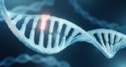 Polygene Krankheiten: Studie untersucht Einfluss von Mutationen