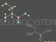 Wie Melanomzellen oxidativem Stress entgehen