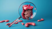 Darmkrebsrisiko bei Colitis ulcerosa: Dysfunktionales p53-Gen hält Zellen in proliferativem Zustand