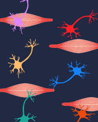 Biermann_Advetorial_200x250px