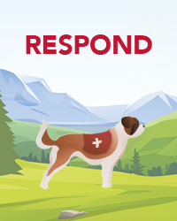 Biogen_SPIN_RESPOND_200x250_BG
