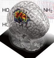 Parkinson: Hirnstimulation kann Dopamineffekt nachahmen
