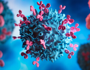 mBC: Trop-2 als Target