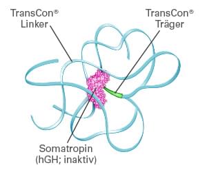 TransCon® Molekül mit Beschriftung